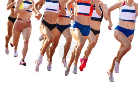 Téléchargez les photos : Groupe femmes coureuses athlètes qui courent 800 mètres en athlétisme d'été, isolées sur fond blanc - en image libre de droit