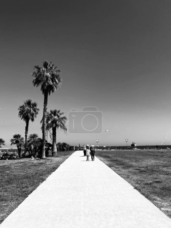 Photo for View of Tommasi di Lampedusa Park and sea in Palermo. hot summer day outdoors by seashore - Royalty Free Image