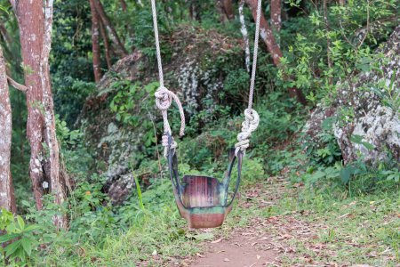Téléchargez les photos : Swing in the forest. tire swing. made from used car tires that are painted. children's toys, in the garden. recycled material. - en image libre de droit