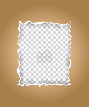 Téléchargez les photos : Couleur de fourrure déchiré conception de papier sur fond transparent déchiré conception d'artisanat de papier - en image libre de droit