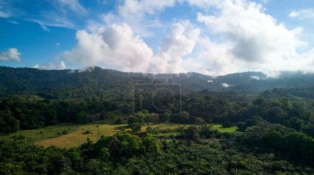 Aerial Shot Jungle and Puntarenas Costa Rica . High quality photo