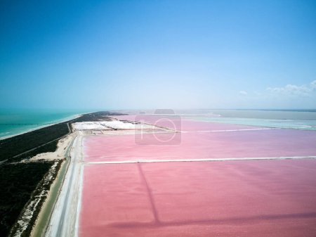 Téléchargez les photos : Lac rose Las Coloradas, Mexique. Un drone. Photo de haute qualité - en image libre de droit
