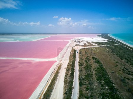 Las Coloradas Pink lake , Mexico . Drone. High quality photo