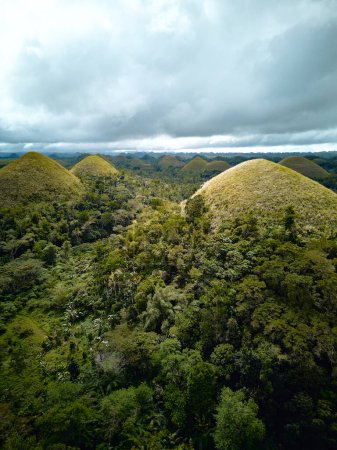 Photo for Chocolate hills Bohol. Philippines .Drone. High quality photo - Royalty Free Image