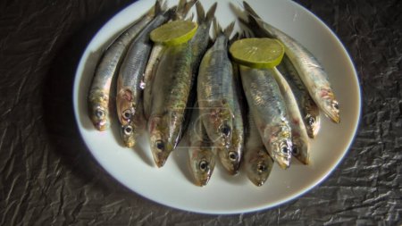 sardines from the Cantabrian Sea caught by Basque fishermen, delicious, healthy and delicious