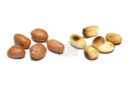 Photo for Roasted and non-roasted peanuts on white background. - Royalty Free Image