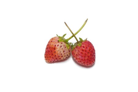 Téléchargez les photos : Deux fraises rouges placées sur un fond blanc - en image libre de droit