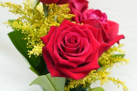 Téléchargez les photos : Grand bouquet de roses rouges fleurissant belle - en image libre de droit