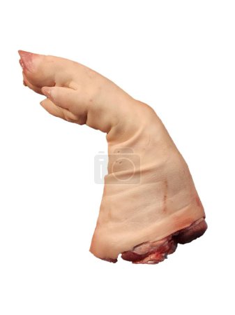 Téléchargez les photos : Pieds antérieurs du cochon sur fond blanc - en image libre de droit