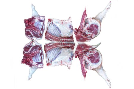 Foto de Un cerdo cortado por la mitad sobre un fondo blanco - Imagen libre de derechos