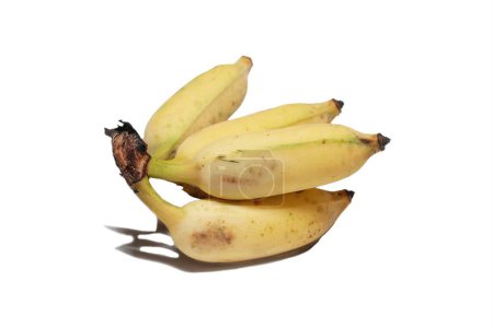 Foto de Plátano amarillo sobre un fondo blanco - Imagen libre de derechos