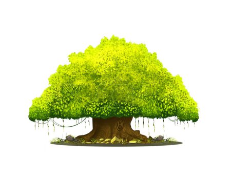 Photo for Big tree with green foliage in the summer the color vector drawing on a white background. - Royalty Free Image