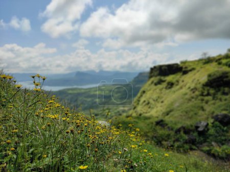 The image shows a gorgeous view with a river meandering through a lush valley and tall mountains in the background.There are lots of bright yellow flowers in the foreground, which gives the composition a flash of brightness.