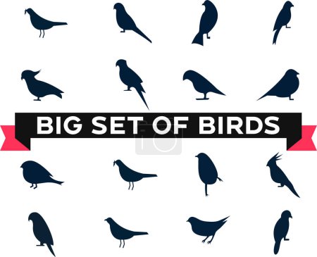 Illustration for Birds silhouettes and new birds icon designs - Royalty Free Image
