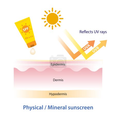 Physikalische, mineralische Sonnencreme reflektiert UV-Strahlen auf weißem Hintergrund. So funktioniert mineralische Sonnencreme auf der Haut. Illustration von Hautpflege und Schönheitskonzept.