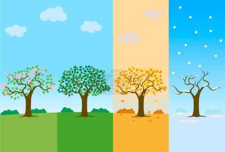 Illustration for Tree in four seasons of year spring, summer, fall, autumn and winter season vector illustration. Scenery of the four seasons landscape set. Hand drawn cartoon flat design. - Royalty Free Image