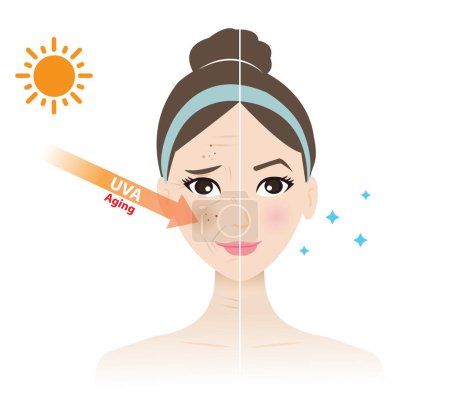 Illustration for UVA rays penetrate into the woman face, resulting in a melasma, aging, wrinkle, tan, photoaging and dark spots vector isolated on white background. Comparison of damaged and beauty skin. Skin care concept illustration. - Royalty Free Image