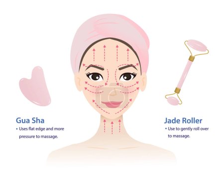 Illustration for Infographic of how to use Gua sha face stone and Jade roller massage tool with cute woman face vector isolated on white background. Direction for massage upward across and along the face. - Royalty Free Image