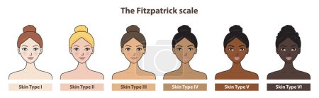 Illustration for Fitzpatrick skin tone phototype with cute cartoon character vector isolated on white background. Diagram of ethnicity skin tone scale phototype melanin and hair color melanin. The Fitzpatrick scale illustration. - Royalty Free Image