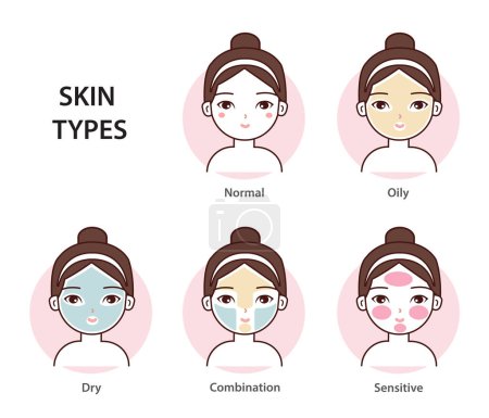 Different skin types vector set isolated on white background. Cute girl with basic types of skin, normal, oily, dry, combination and sensitive skin. Skin care and beauty concept illustration.