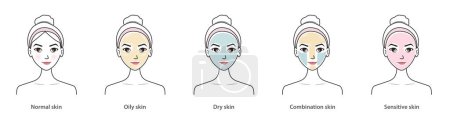 Illustration for Cute woman with skin types vector set isolated on white background. Different basic types of skin, normal, oily, dry, combination and sensitive skin. Skin care and beauty concept illustration. - Royalty Free Image