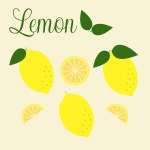 Vector illustration. Lemon collection in a flat style.