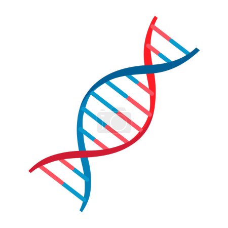 Vector illustration. DNA molecule icon isolated on white background