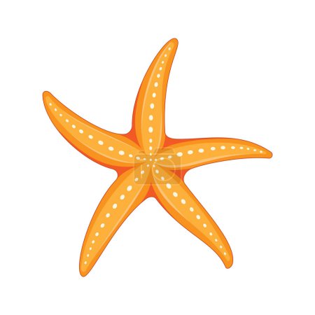 Vector illustration. Starfish isolated on white background.