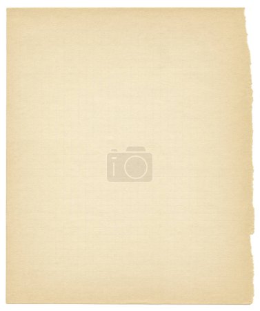 Photo for Aged checkered sheet of paper from a notebook. Vintage sheet of paper with uneven edges. Grid and square geometric design elements. - Royalty Free Image