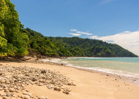 Téléchargez les photos : The beach at Cabo Blanco nature reserve near the town of Montezuma in Costa Rica. - en image libre de droit