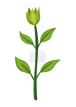 Illustration for Sunflower growth stage, nurseling. Agriculture plant development. Harvest animation progression phase. - Royalty Free Image
