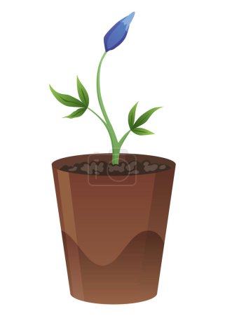 Illustration for Flower growth stage in brown pot on white background. Vector illustration phase sprout of small flower. - Royalty Free Image
