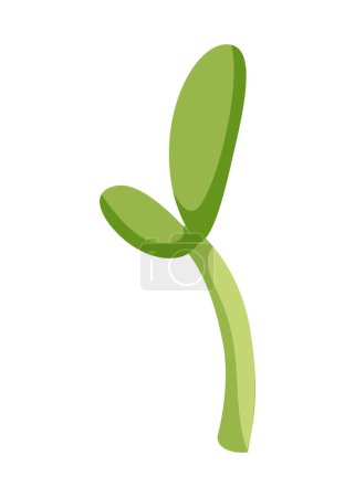Illustration for Sunflower growth stage, small sprout. Agriculture plant development. Harvest animation progression phase. - Royalty Free Image