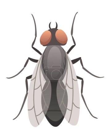 Illustration for Housefly insect icon. Wildlife symbol in cartoon style. Scary insect. Graphic design element. Entomology closeup color vector illustration isolated on white background. - Royalty Free Image