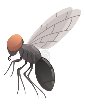 Housefly insect icon. Wildlife symbol in cartoon style. Scary insect. Graphic design element. Entomology closeup color vector illustration isolated on white background.