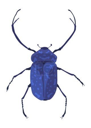 Rosalia batesi longhorn black-blue bug icon. Exotic beetle with long antennae and legs. Rosalia alpina entomology unusual insect illustration.