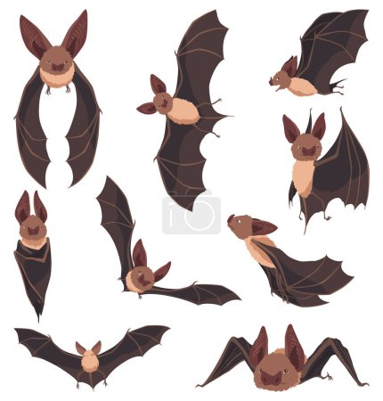 Collection of flying bats. Concept cartoon bat in different poses. Elements set. Vector clipart illustration isolated on white background.