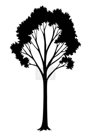 Tree silhouette. Forest and park deciduous tree. Vector nature isolated retro image.