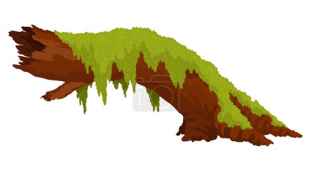 Log, stump in moss. Cartoon tree lichen in swamp jungle. Broken oak in tropical damp forest. Isolated vector design element on white background.