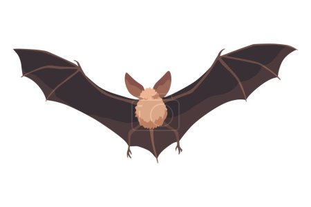 Illustration for Bat. Concept cartoon bat. Vector clipart illustration isolated on white background. - Royalty Free Image