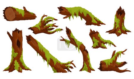 Logs, stumps in moss. Cartoon tree lichen in swamp jungle. Broken oak in tropical damp forest. Set isolated vector design element on white background.
