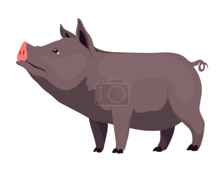 Pig set flat cartoon isolated on white background. Black pig vector illustration.