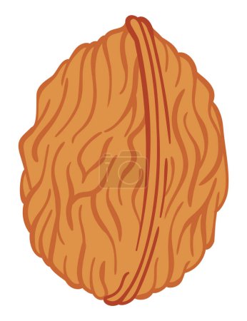 Illustration for Walnut vector flat icon. Cartoon illustration of whole nut in shell. Omega-3 product. - Royalty Free Image