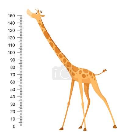 Ilustración de Una jirafa graciosa. Jirafa divertida alegre con cuello largo. Jirafa medidor de pared o tabla de altura o etiqueta engomada de pared. Ilustración con escala de 0 a 150 centímetros para medir el crecimiento. - Imagen libre de derechos