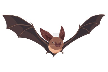Bat. Concept cartoon bat. Vector clipart illustration isolated on white background.
