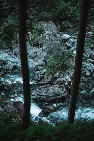 Téléchargez les photos : Cascade majestueuse entourée d'arbres dans les Alpes - en image libre de droit
