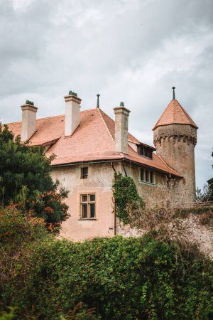 Téléchargez les photos : Castle of Ripaille, Castle in France named Chteau de Ripaille - en image libre de droit