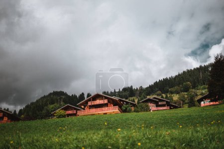 Photo for Majestic mountains in the Alps covered with trees and clouds - Royalty Free Image