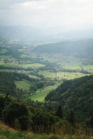 Téléchargez les photos : Majestic mountains in the Alps covered with trees and clouds - en image libre de droit