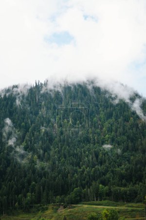 Foto de Majestuosas montañas en los Alpes cubiertas de árboles y nubes - Imagen libre de derechos